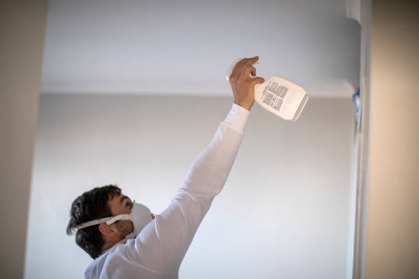 Attic Mold Removal in Daniel, UT