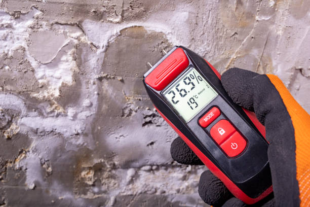 Best Commercial Mold Removal  in Daniel, UT