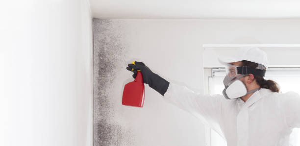 Water Damage Restoration in Daniel, UT